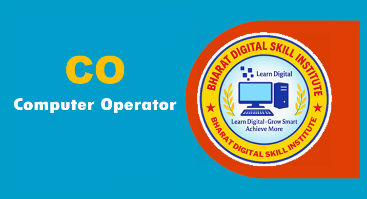 CO (Computer Operator)